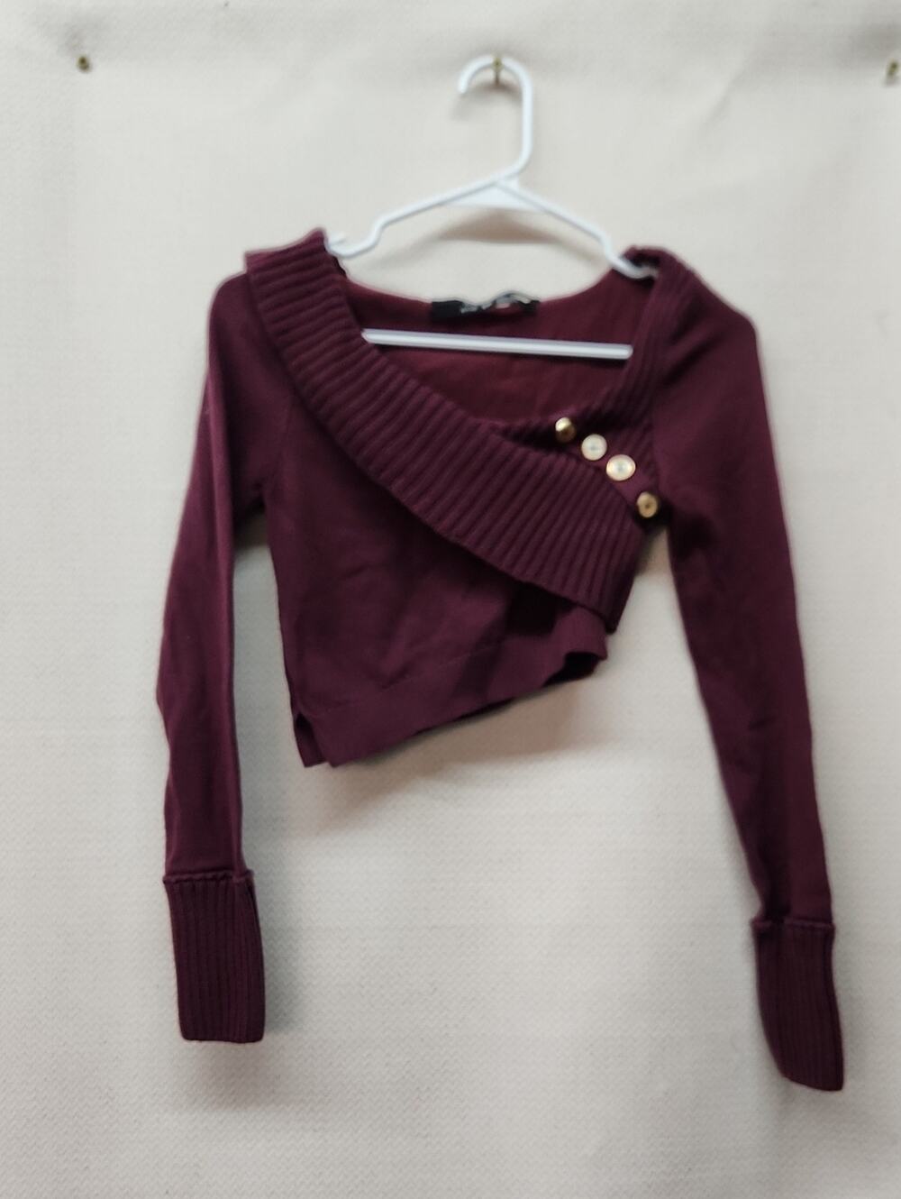 silence + noise Burgundy Ribbed Knit Crop Top with Branded Neck Tape